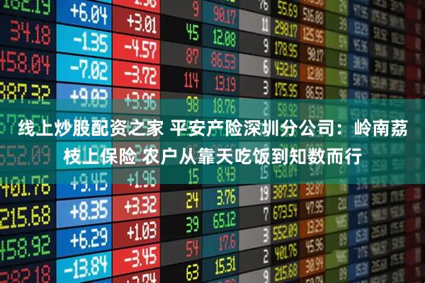 线上炒股配资之家 平安产险深圳分公司：岭南荔枝上保险 农户从靠天吃饭到知数而行