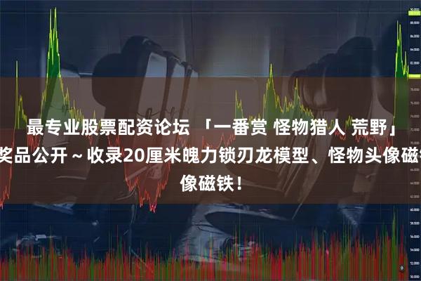 最专业股票配资论坛 「一番赏 怪物猎人 荒野」全奖品公开～收录20厘米魄力锁刃龙模型、怪物头像磁铁！