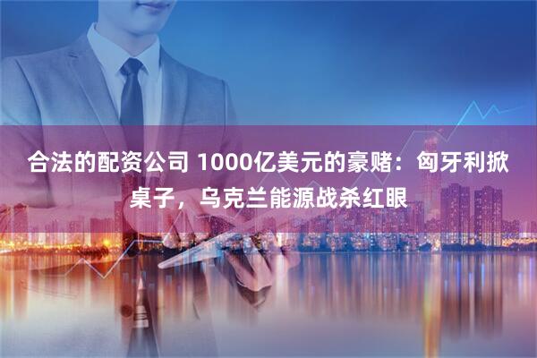 合法的配资公司 1000亿美元的豪赌：匈牙利掀桌子，乌克兰能源战杀红眼