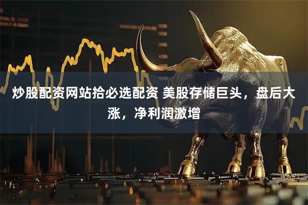 炒股配资网站拾必选配资 美股存储巨头,盘后大涨,净利润激增